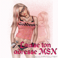 laiss ton adress msn